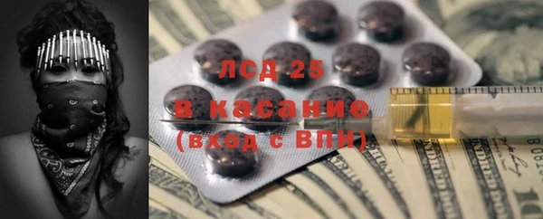 крисы Снежногорск